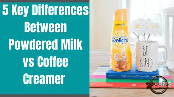 Powdered Milk vs Coffee Creamer