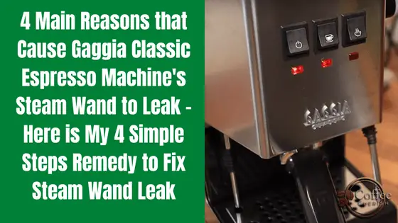gaggia classic steam wand leaking